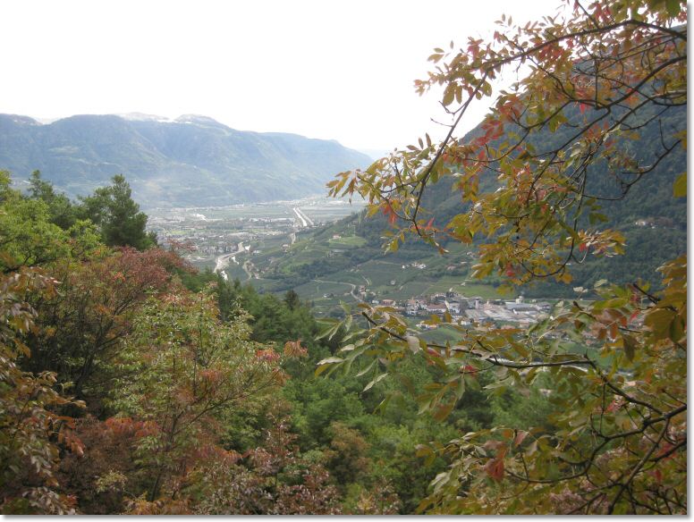Algund2 (19).jpg